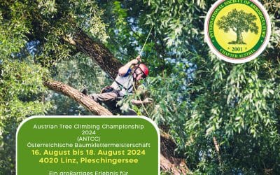 Österreichische Baumklettermeisterschaft 2024