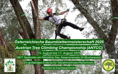 Österreichische Baumklettermeisterschaft 2025